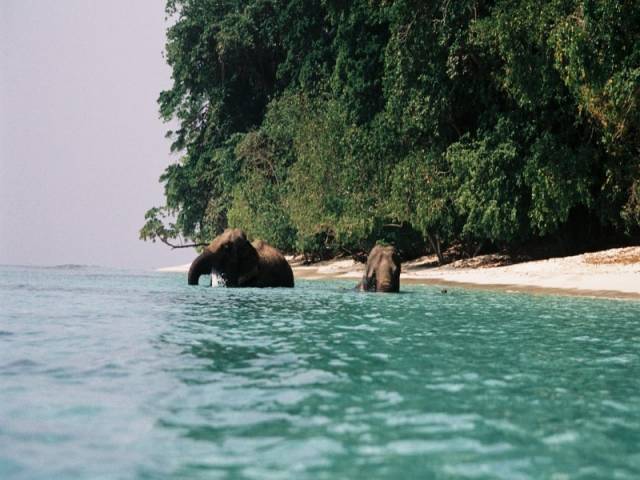 Andaman Nicobar Islands Holidays