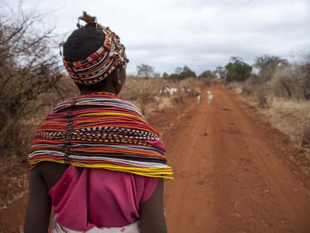 best-of-kenya-safari.