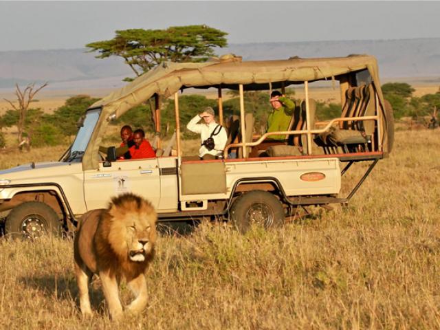 best-of-kenya-safari.